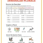 Plural Irregular Plural Nouns Worksheets ReadingVine