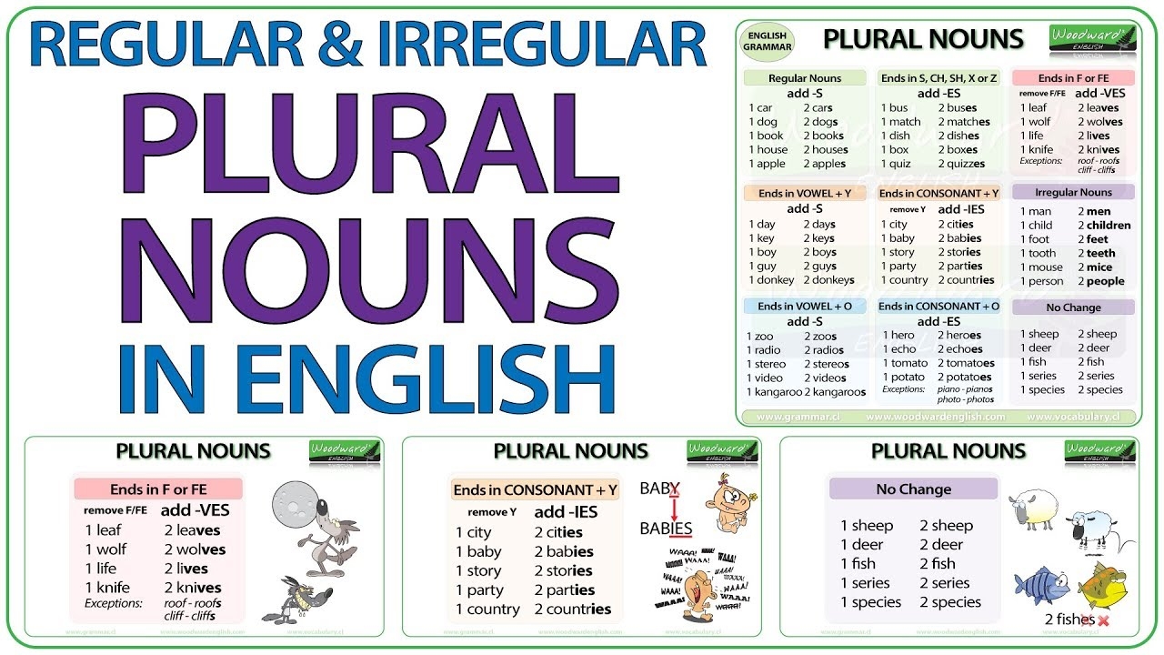 Plural Nouns In English Regular Irregular Plural Nouns Plurals Spelling YouTube Plural Nouns In English Regular Irregular Plural Nouns Plurals Spelling YouTube