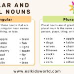 Plural Nouns In English What Are Plurals ESL Kids World