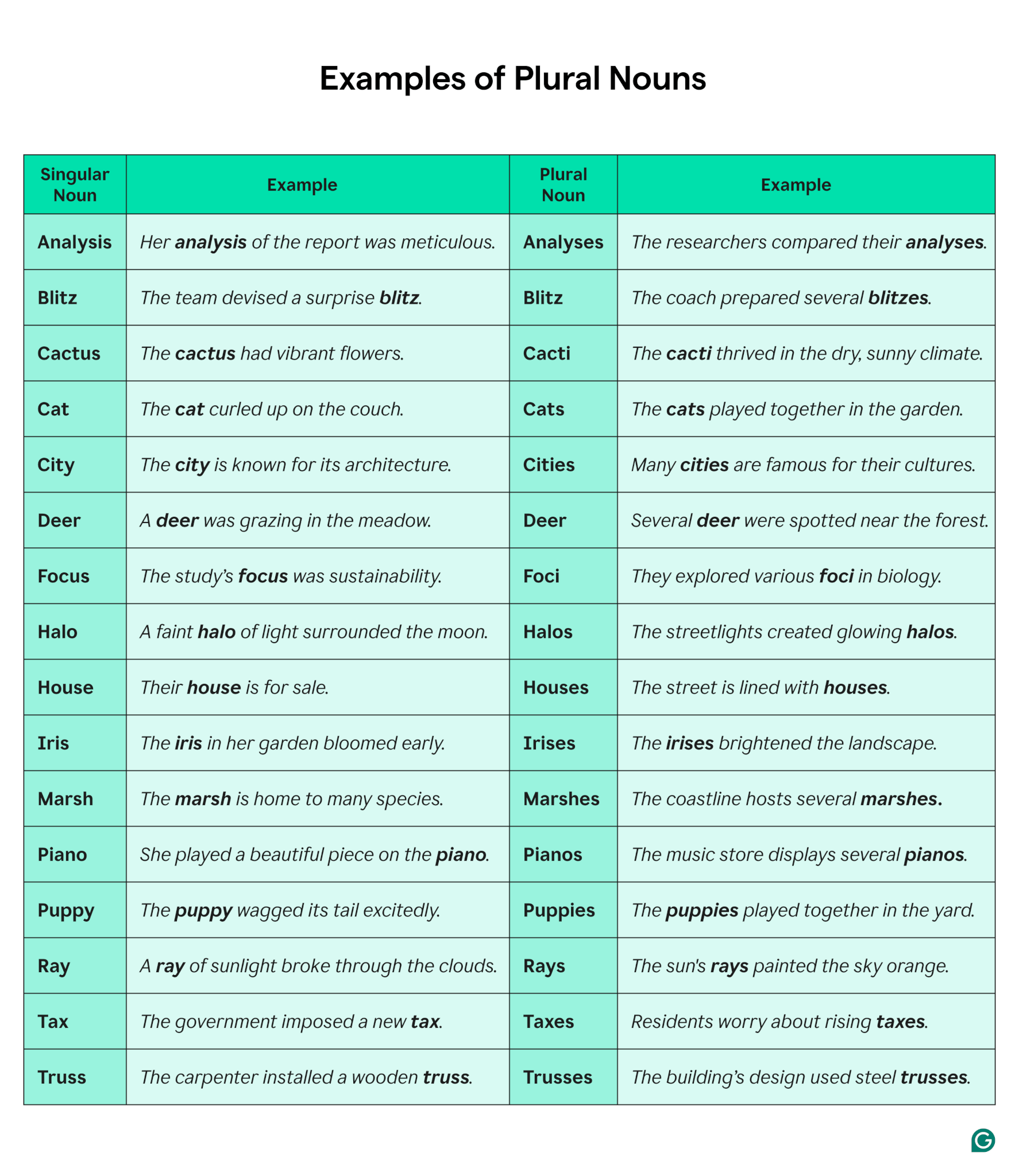 Plural Nouns Rules And Examples Grammarly Plural Nouns Rules And Examples Grammarly