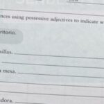 Posesiones Write Sentences Using Possessive Adjectives To Indicate Who Ow