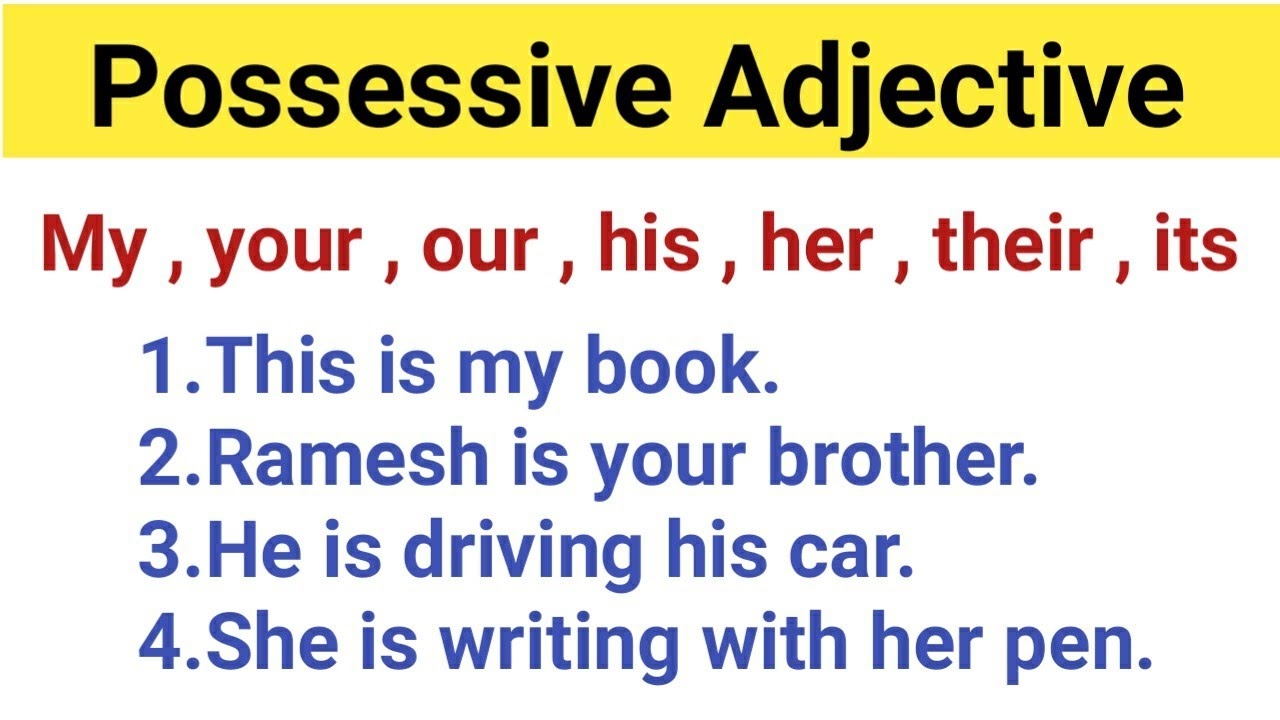 Possessive Adjective Possessive Adjective In English Grammar YouTube Possessive Adjective Possessive Adjective In English Grammar YouTube