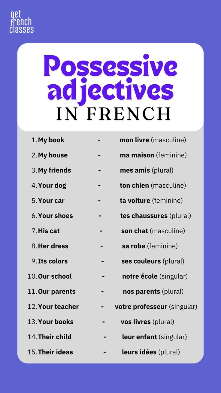 Possessive Adjectives In French