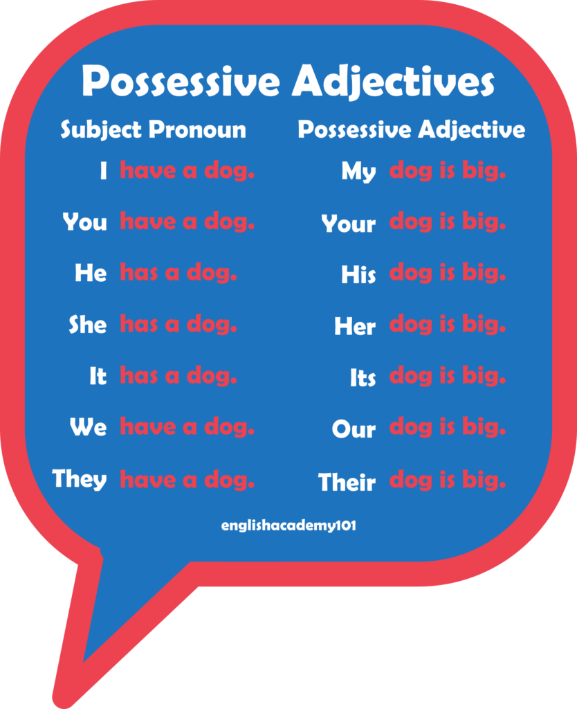 Possessive Adjectives my your his her its ours their Englishacademy101