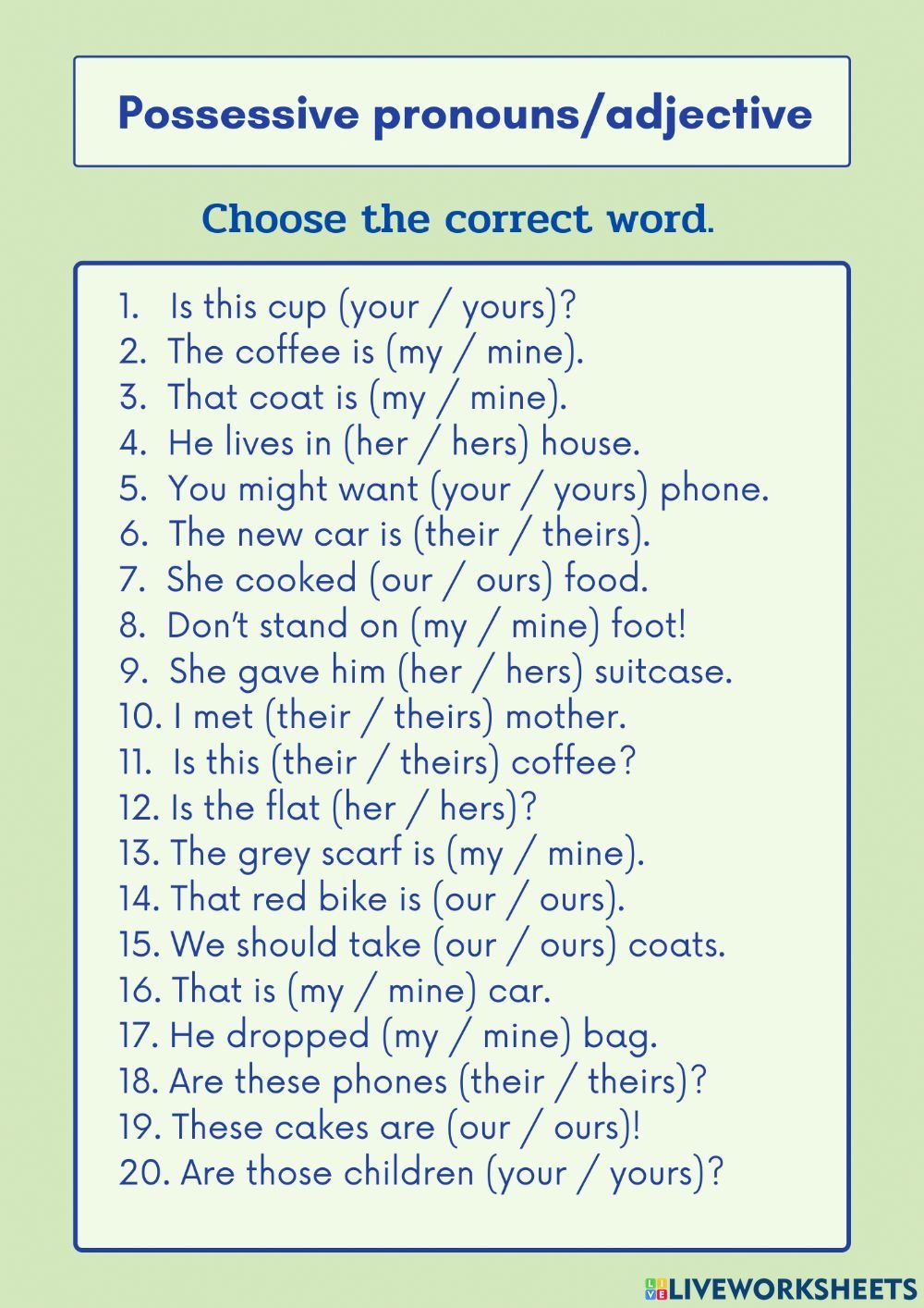 Possessive Pronound Adjective Worksheet