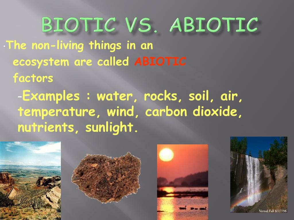 is sunlight biotic or abiotic is sunlight biotic or abiotic