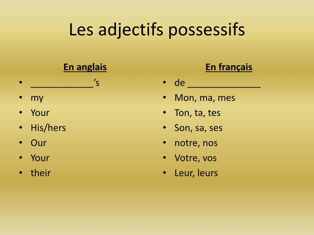 adjectifs possessifs in french