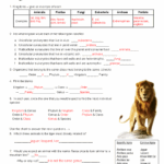 Practice With Taxonomy Answer Key For BIO101 Chapter 1 Studocu