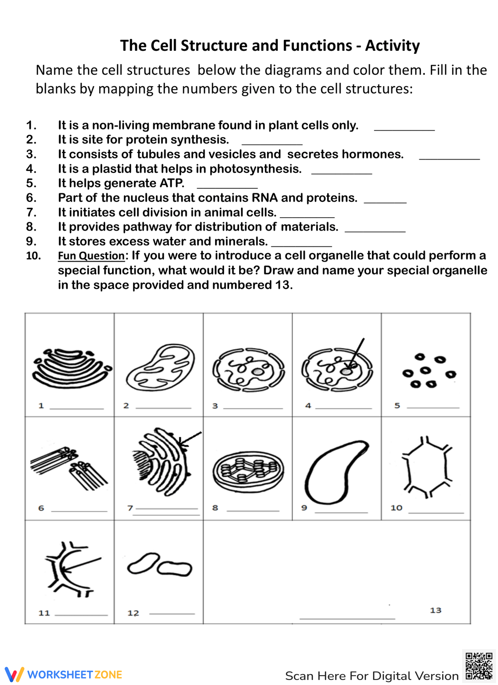 Printable Cell Structure And Function Worksheets Download