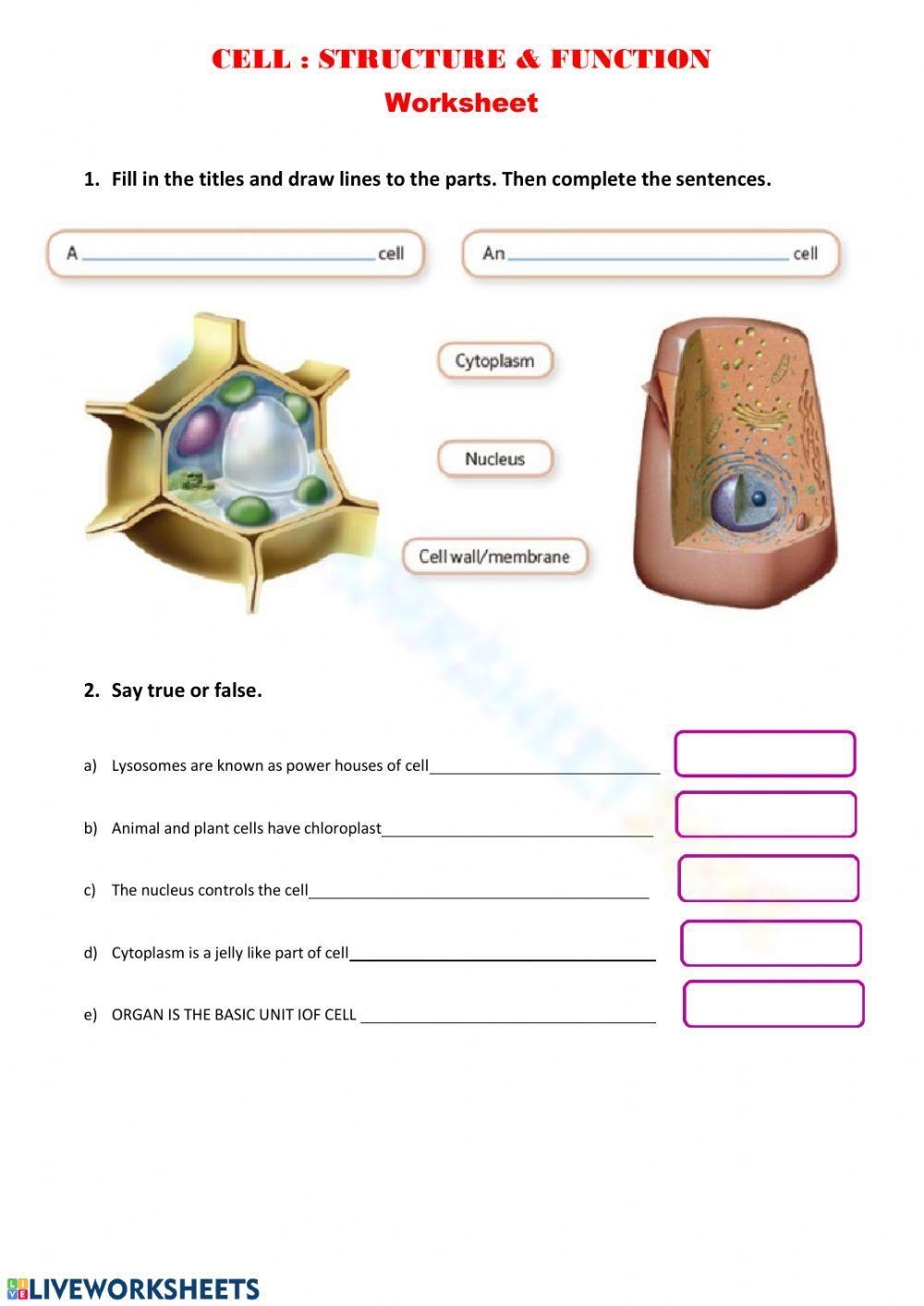 Printable Grade 9 Cell Structure And Function Worksheets Download