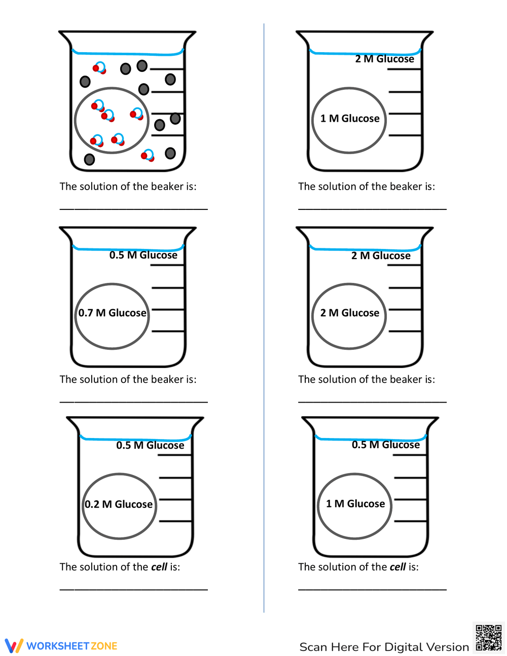 diffusion and osmosis worksheet diffusion and osmosis worksheet