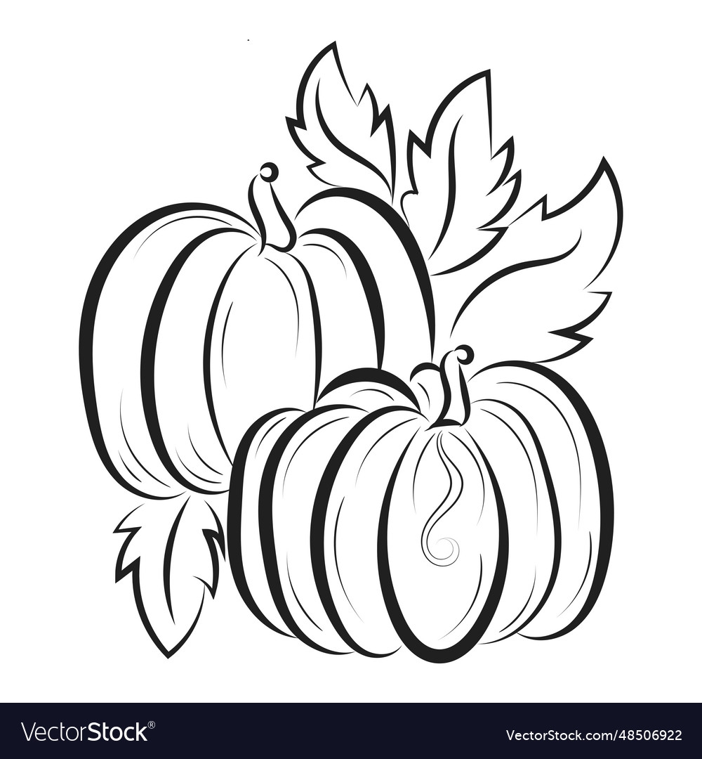 pumpkin printable coloring pages