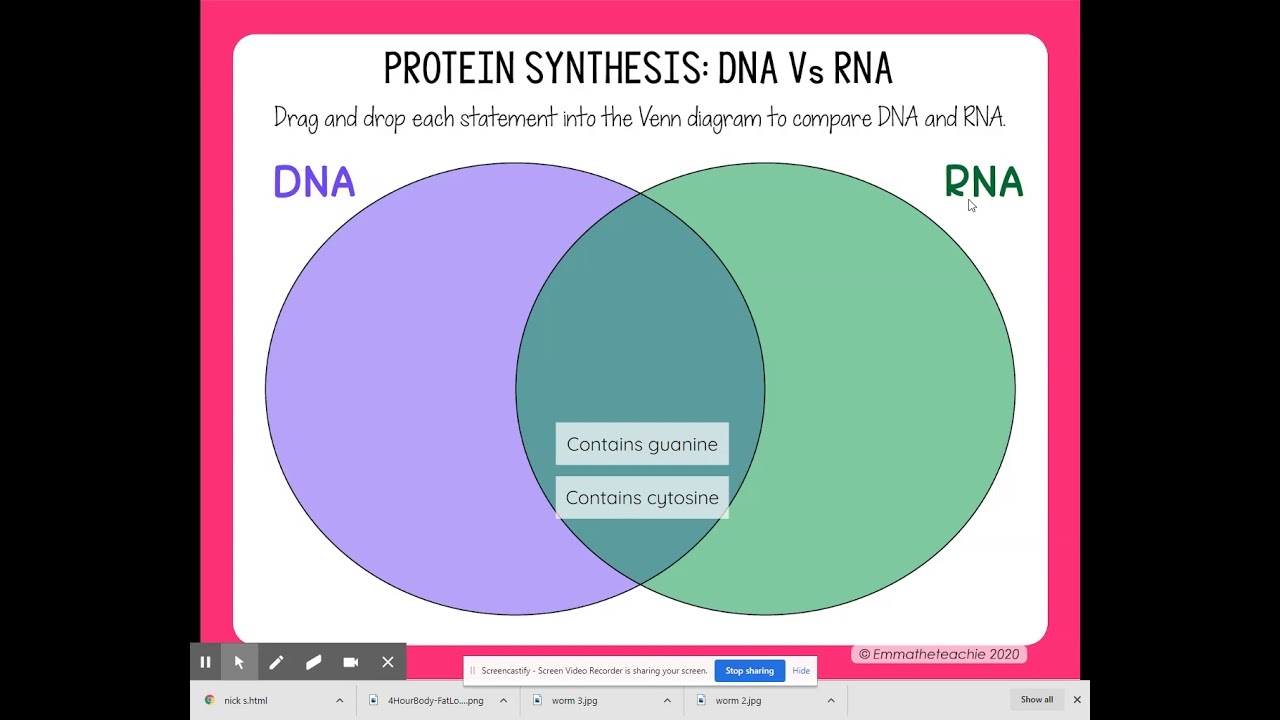 Protein Synthesis Lesson Slide 5 YouTube