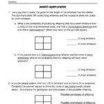 Punnett Square Practice