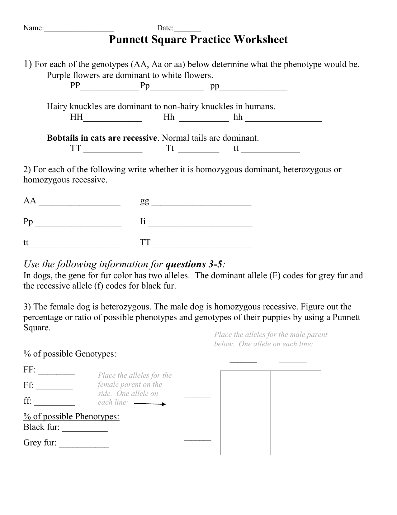 punnett square practice worksheet