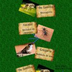 Relaciones Intraespec ficas By Aleja barriga On Emaze