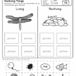 Science Worksheets For Kindergarten Free Printables Worksheets Library