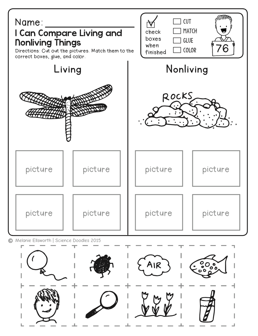 Science Worksheets For Kindergarten Free Printables Worksheets Library