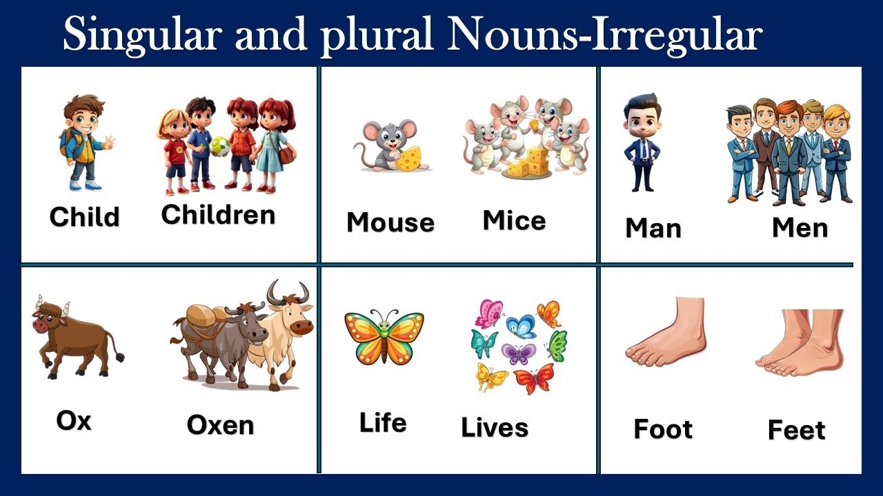 Singular And Plural Nouns Class 1 Singular And Plural Nouns For Kids English Grade 1 2 YouTube