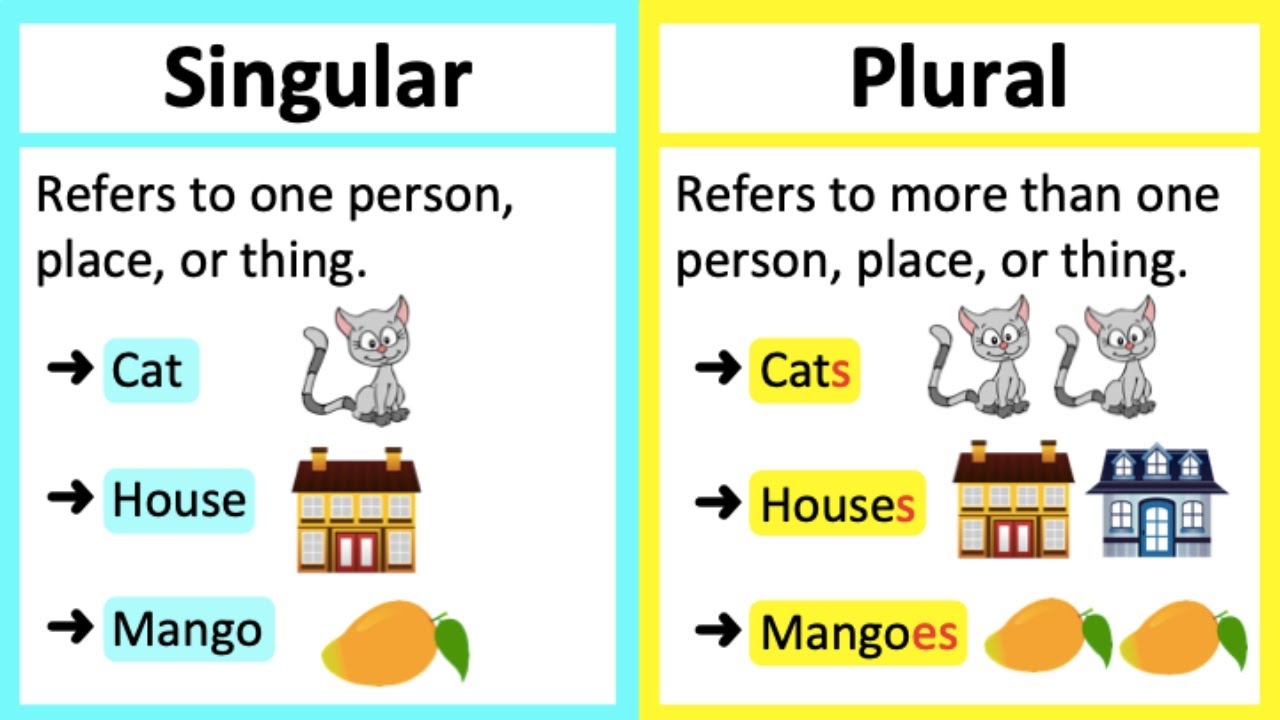 SINGULAR VS PLURAL NOUNS What s The Difference Learn With Examples YouTube
