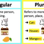 SINGULAR VS PLURAL NOUNS What s The Difference Learn With Examples YouTube