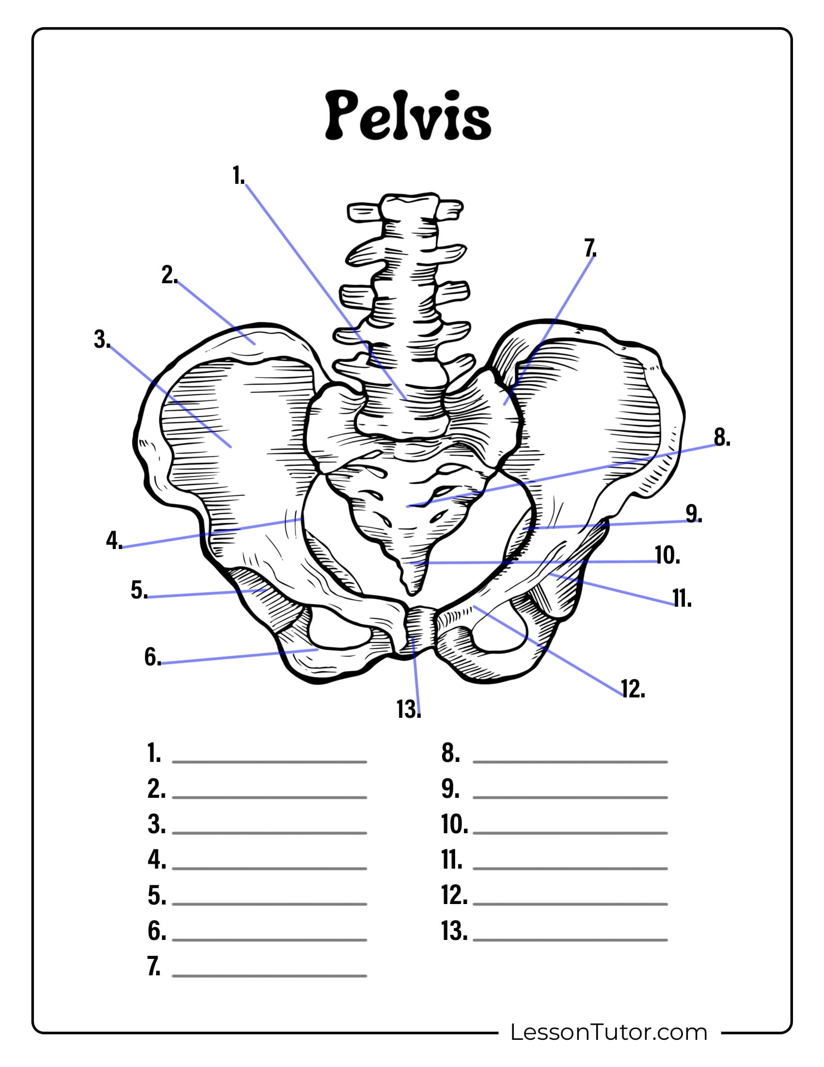 Skeleton System Worksheets Free Coloring Pages PDF Printables And Worksheets Lesson Tutor