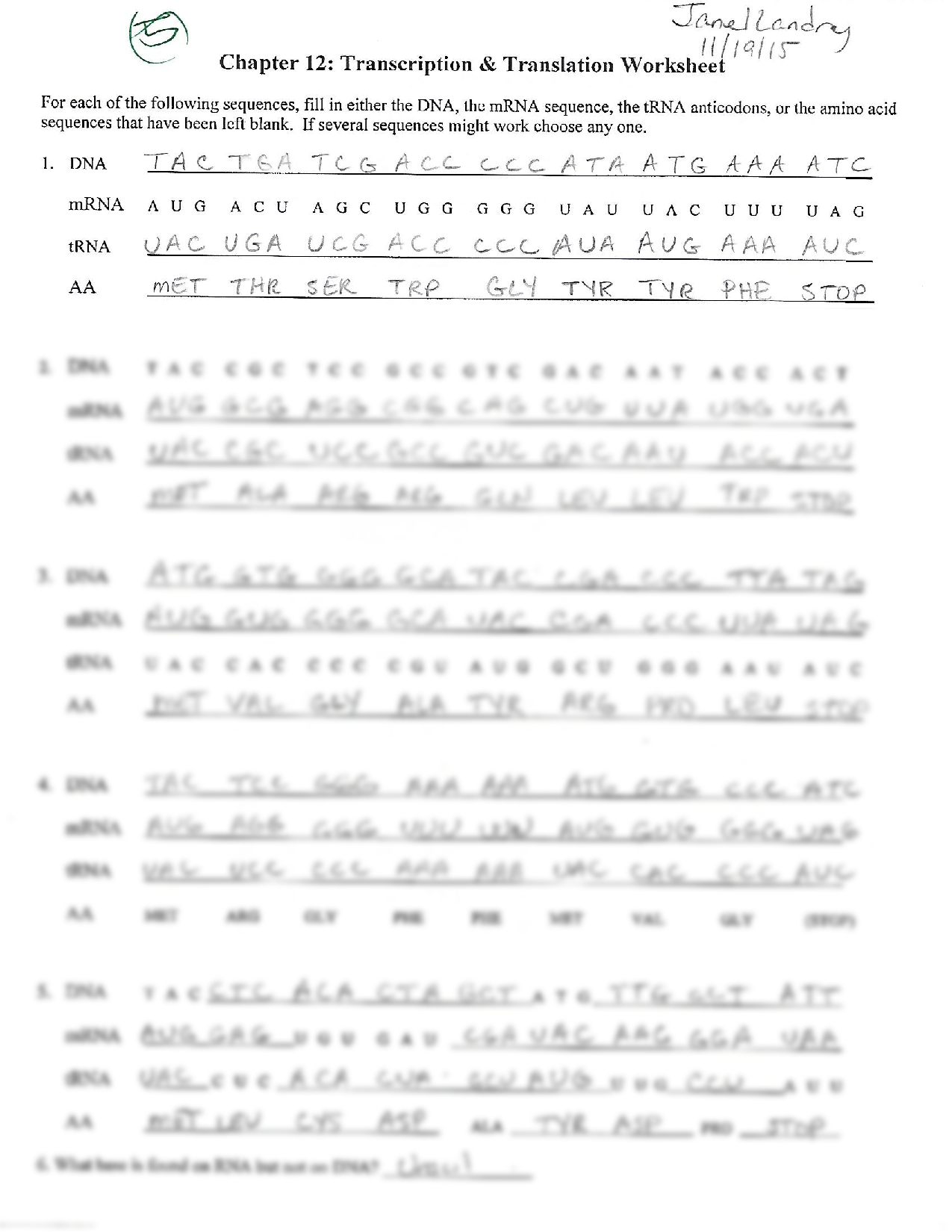 SOLUTION Biology Transcription amp Translation Worksheet Studypool Worksheets Library