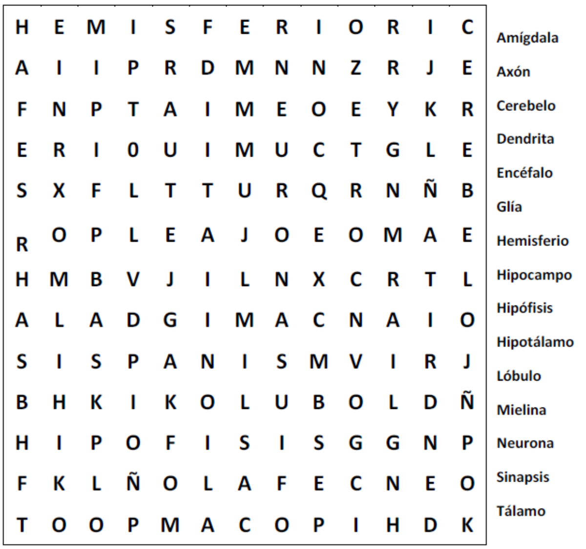 Sopa De Letras Sobre El Cerebro Sopa De Letras Sobre El Cerebro