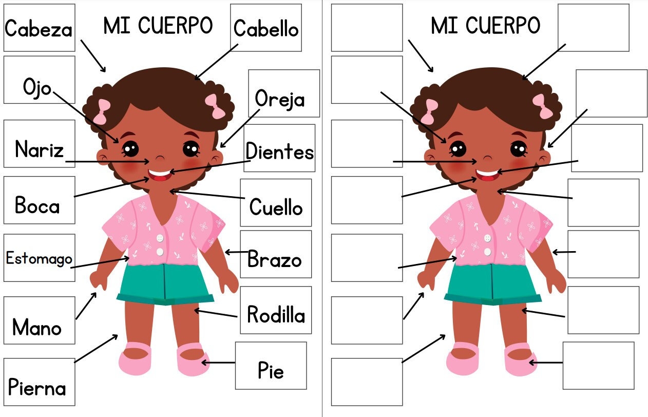 SPANISH Body Parts For Kids Interactive Printable Study Guide Body Anatomy Science Unit Healthcare Study Etsy SPANISH Body Parts For Kids Interactive Printable Study Guide Body Anatomy Science Unit Healthcare Study Etsy