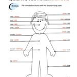 Spanish Body Parts Label Worksheet Answer Key Made By Teachers