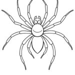 Spider Coloring Pages Happy Toddler Playtime