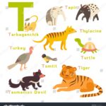 T Letter Animals Set English Alphabet Stock Vector Royalty Free 357548222 Shutterstock