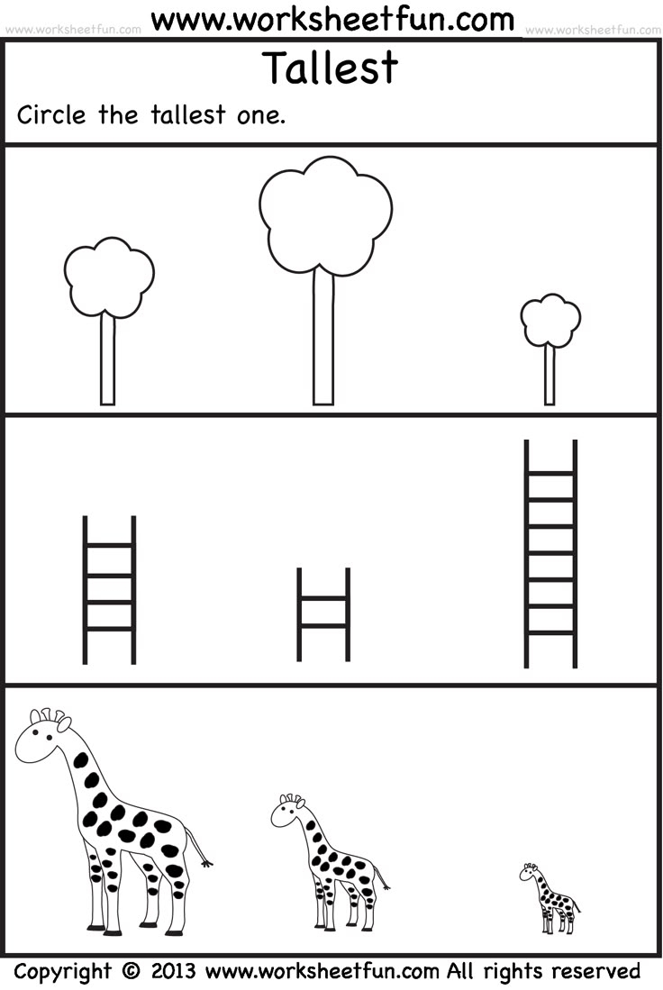 Tallest 2 Preschool Worksheets FREE Printable Worksheets