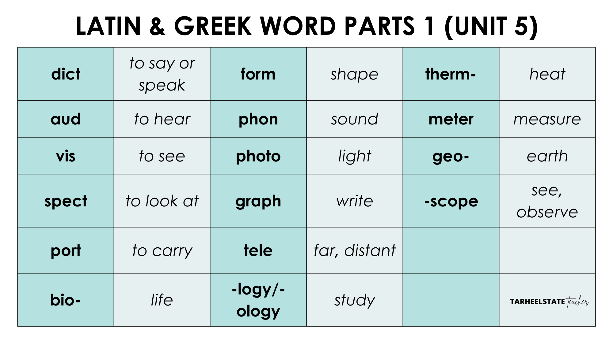 words with the root vid words with the root vid