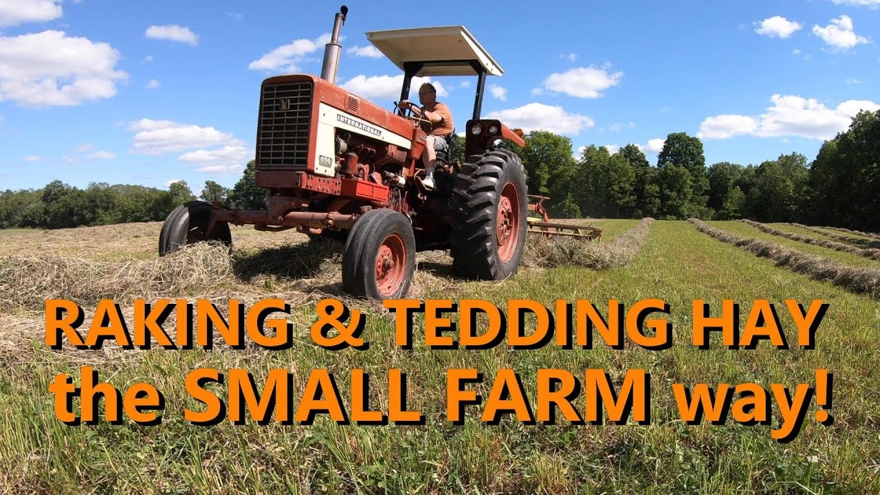 The Basics Of Raking Tedding Hay YouTube The Basics Of Raking Tedding Hay YouTube