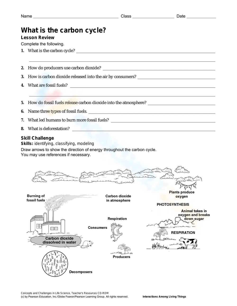 The Carbon Cycle Worksheets