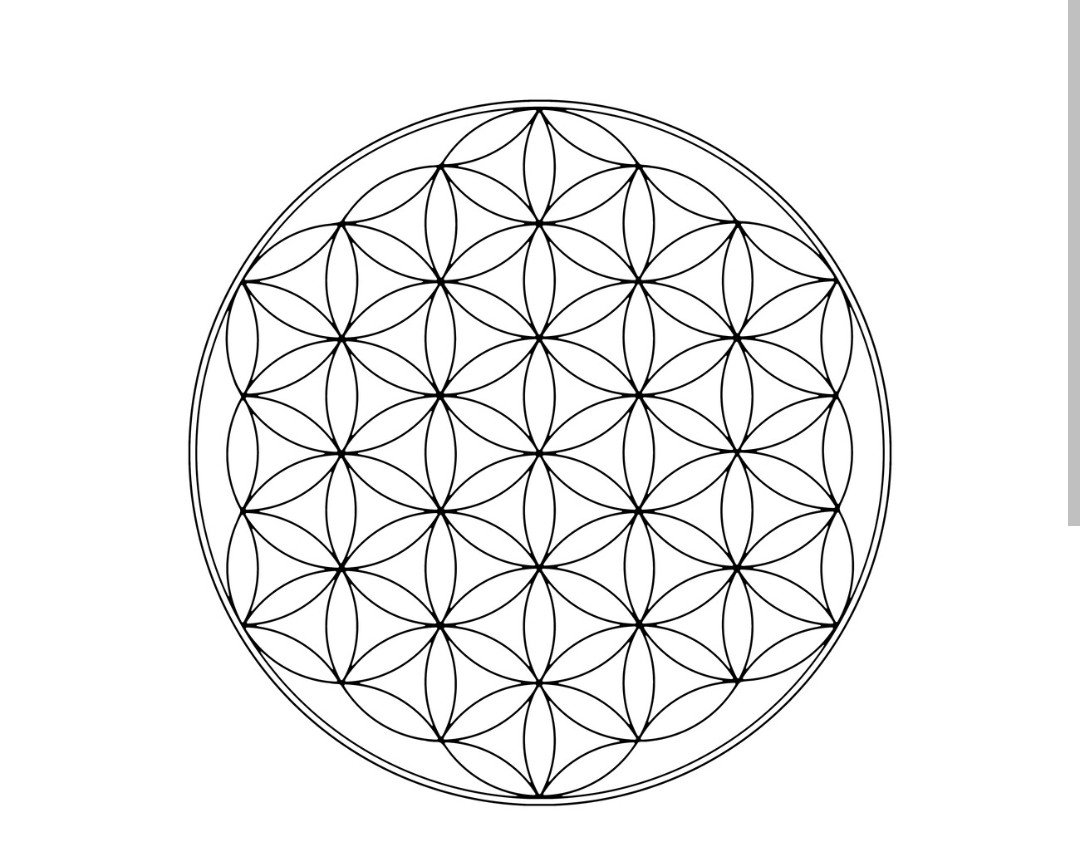The Flower Of Life And The Secrets It Holds To Life INCENTRE INCENTRE
