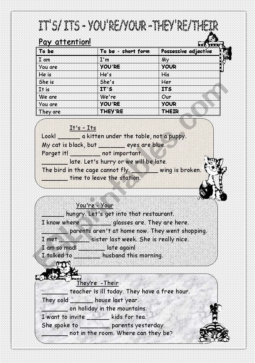 your vs you're worksheet your vs you're worksheet