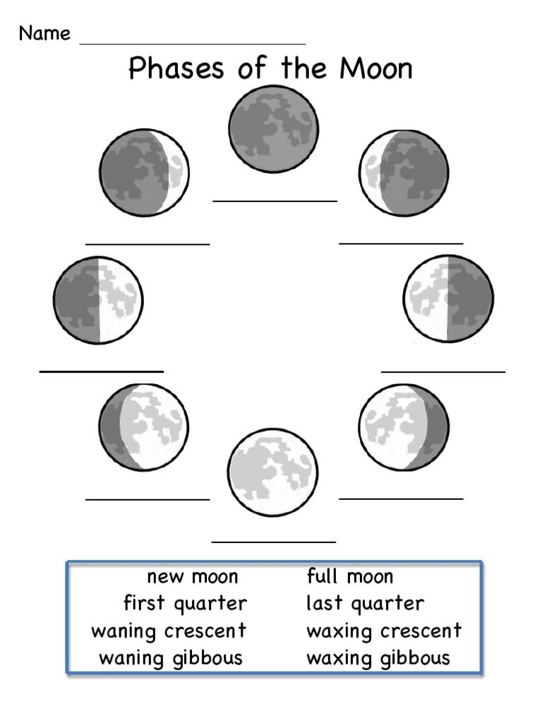 This Is A Worksheet To Show The Phases Of The Moon Science Worksheets Library