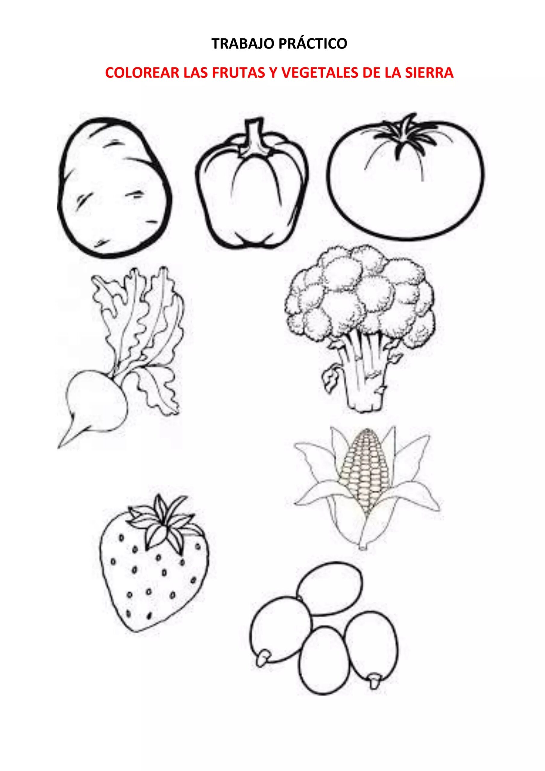 ficha de trabajo de frutas