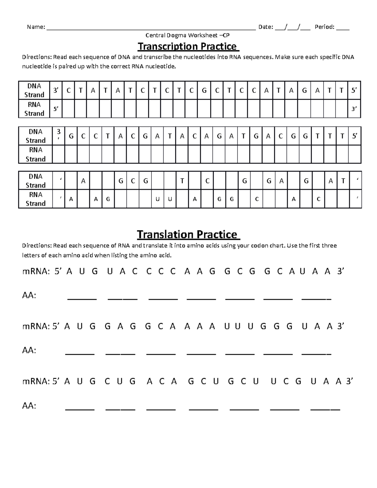 Transcription And Translation Worksheet CP Studocu Transcription And Translation Worksheet CP Studocu