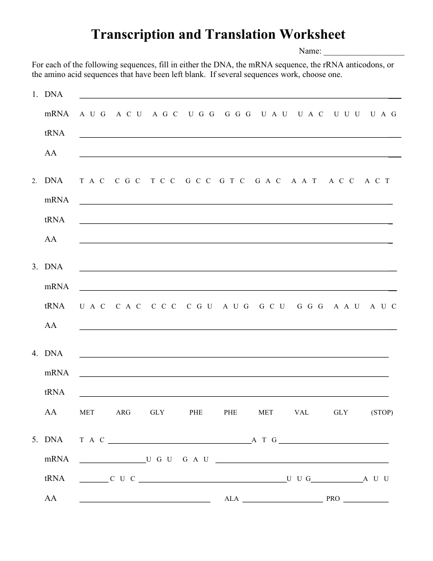 Transcription And Translation Worksheet Science 10th Grade Worksheets Library