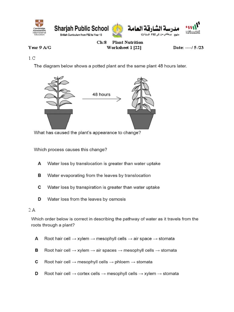 Transport In Plants Ws PDF Leaf Plant Stem Worksheets Library