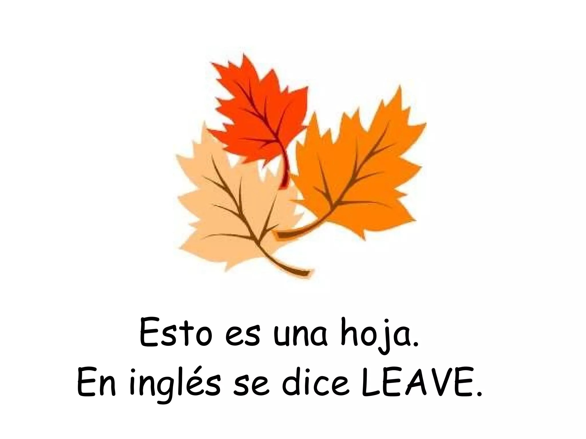 como se dice hoja en inglés