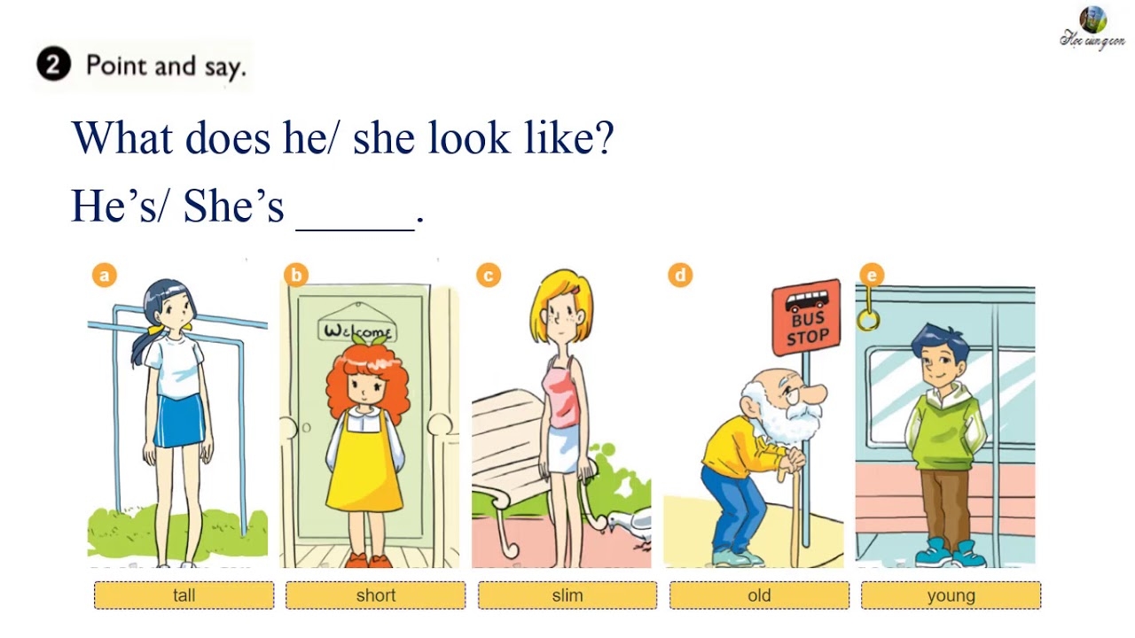 Unit 14 What Does He Look Like Lesson 1 YouTube Unit 14 What Does He Look Like Lesson 1 YouTube