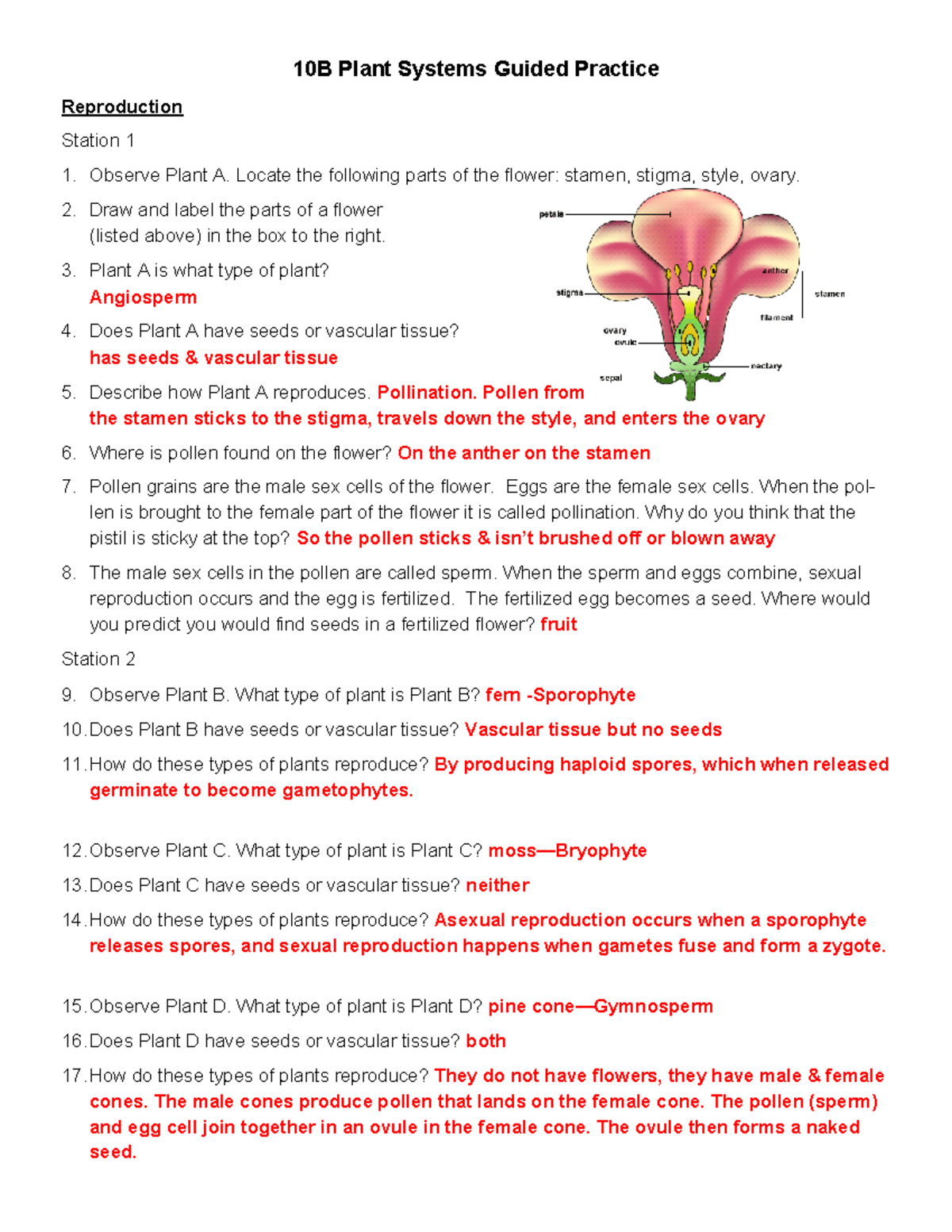 Video 4 Introduction To Marine Botany 10B Plant Systems Guided Practice Reproduction Station 1 Studocu Video 4 Introduction To Marine Botany 10B Plant Systems Guided Practice Reproduction Station 1 Studocu