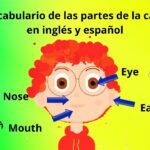 VOCABULARIO DE LAS PARTES DE LA CARA EN INGL S Y ESPA OL INGL S PARA NI OS PARTES DE LA CARA YouTube