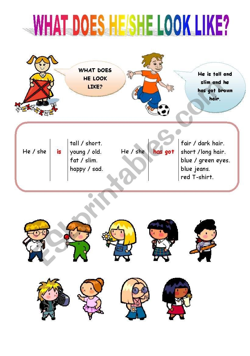 WHAT DOES HE SHE LOOK LIKE English For Beginners ESL Worksheet By Lucak F WHAT DOES HE SHE LOOK LIKE English For Beginners ESL Worksheet By Lucak F