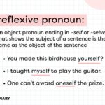 What Is A Reflexive Pronoun Usage Guide And Examples YourDictionary