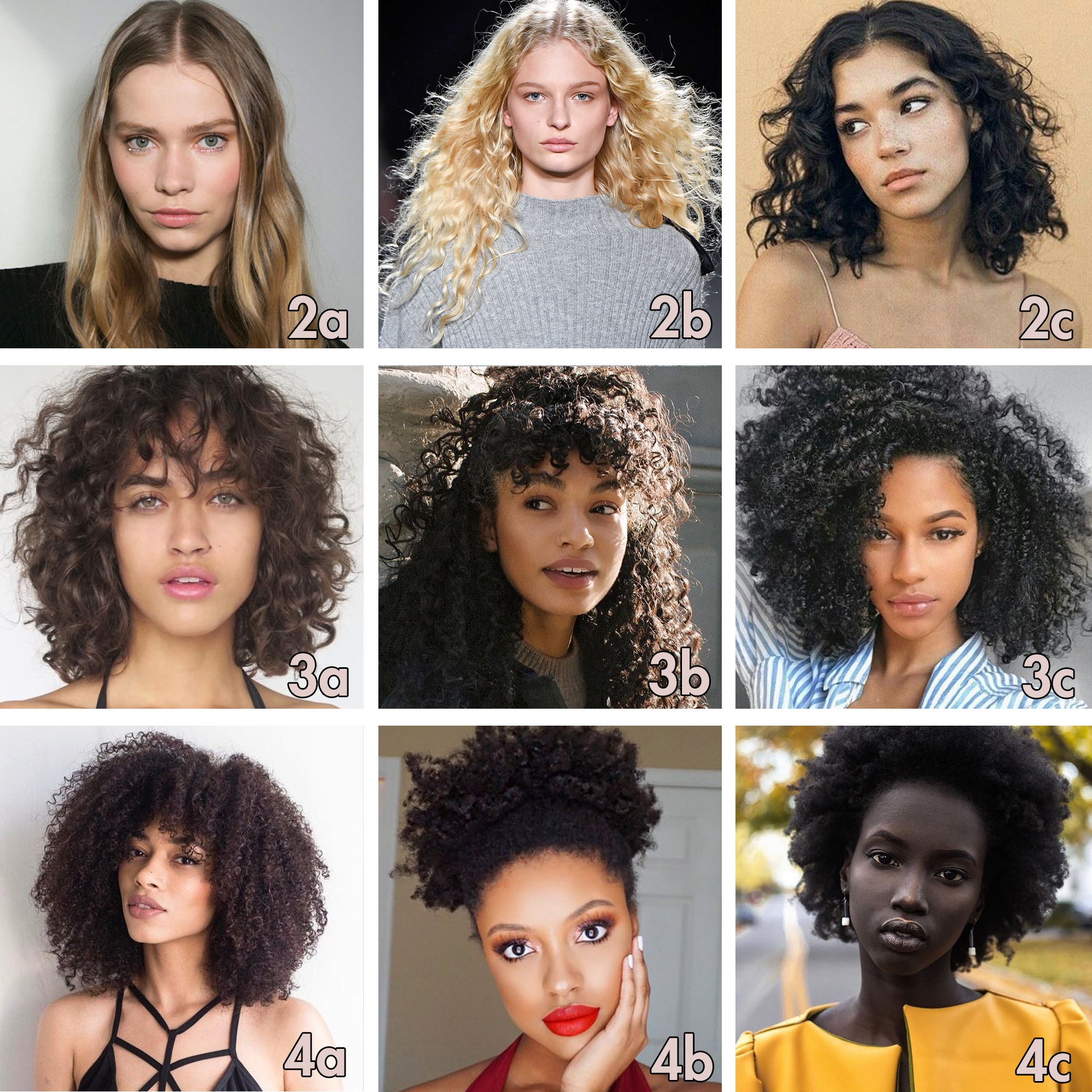 What s My Curly Hair Type And Why Does It Matter VIRGO TEXTURE SALON What s My Curly Hair Type And Why Does It Matter VIRGO TEXTURE SALON